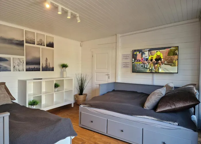 Vaeike Puhkemaja Saunaga Holiday home *